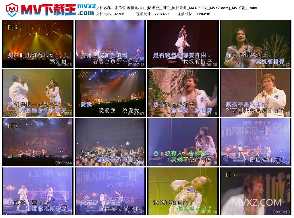 张信哲 容祖儿-自由(演唱会)_国语_流行歌曲_MA403002